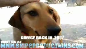 cainele protestelor din grecia